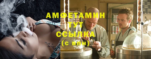 молекула духа Алзамай