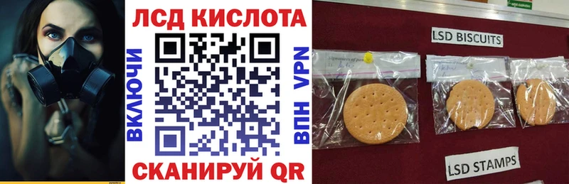 дарнет шоп  ссылка на мегу маркетплейс  Марки 25I-NBOMe 1500мкг  Кропоткин 