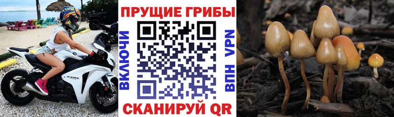 Галлюциногенные грибы мухоморы  Кропоткин 