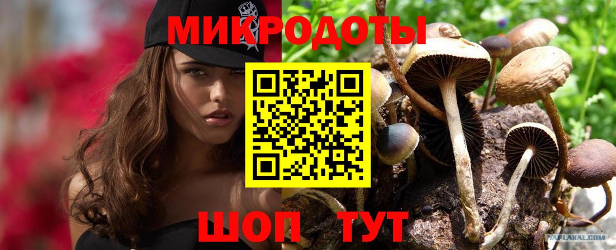 Галлюциногенные грибы GOLDEN TEACHER Кропоткин