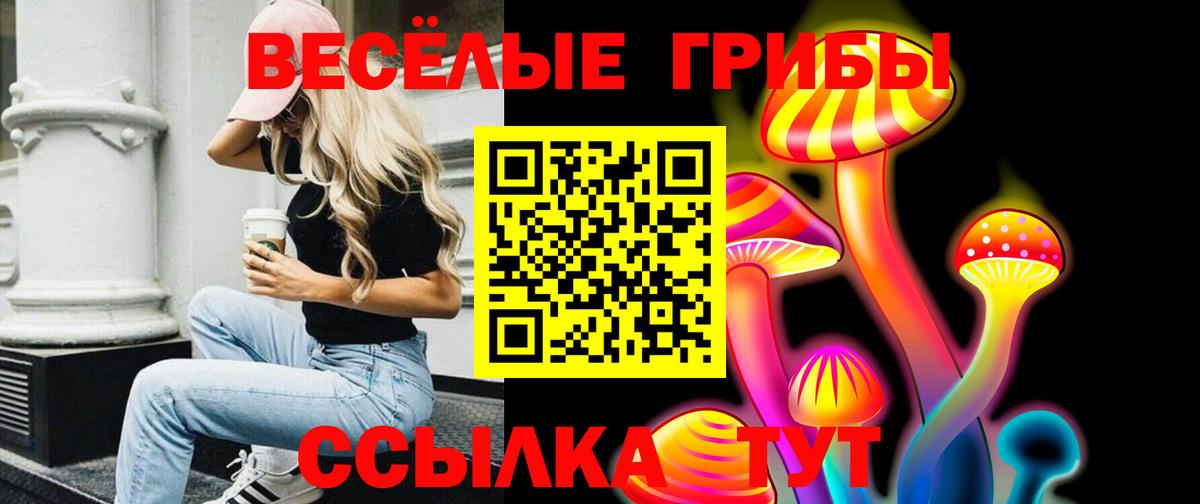 Псилоцибиновые грибы Cubensis  Галлюциногенные грибы прущие грибы  Вход с VPN  Кропоткин 